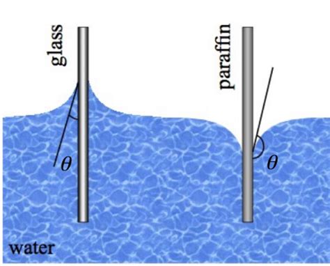 Properties Of Matter Hydrostatics And Bernoulli S Principle