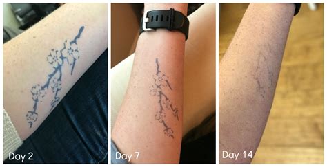 How Well Do Inkbox Semi Permanent Tattoos Work We Put Them To The Test