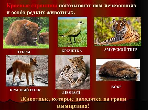 Красная книга России - презентация онлайн
