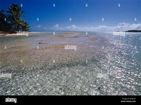 Un Banc De Sable Dans Le Lagon De L Atoll De Fakarava Fakarava Aux