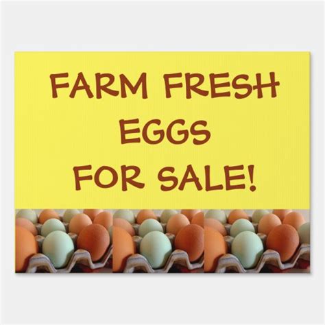 Farm Fresh Eggs For Sale Yard Sign Zazzle