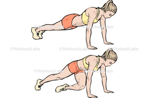 Cross Body Mountain Climbers – WorkoutLabs Exercise Guide