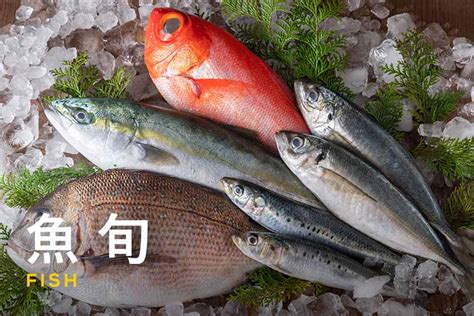 今美味しい魚を知りたい！季節ごとの魚の旬や旬の魚を食べるメリットを紹介 ふるなび公式ブログ ふるさと納税discovery