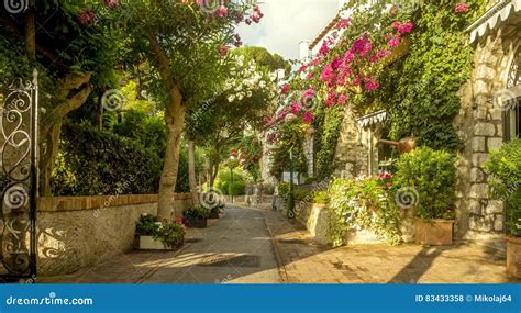 Beautiful Alley Full Of Trees And Flowers On Capri Island Italy Stock