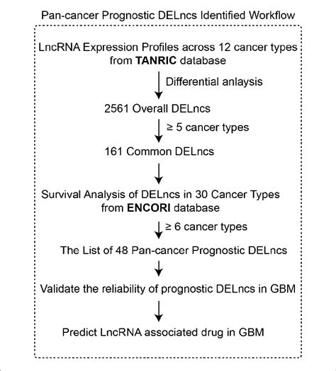 The Integrative Pipeline For Identification Of Pan Cancer Prognostic