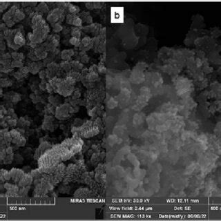 The FE SEM Images Of FSM 16 A And FSM 16 Imine Thiophen Pd B