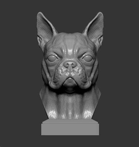 Boston Terrier 3d Model 3d Printable Cgtrader