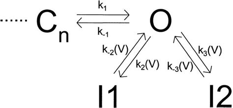 Inactivation properties of Kv1 5ΔN209 Inactivation voltage