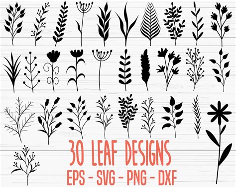 Blatt Svg Bundle Hand Gezeichnete Bl Tter Svg Pflanze Svg