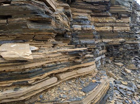 Burgess Shale Fossil Hunting In Walcott Quarry Yoho National Park