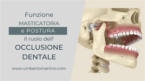 Funzione Masticatoria E Postura Il Ruolo Dell Occlusione Dentale YouTube