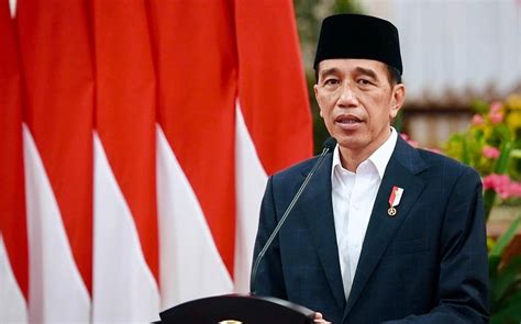 Presiden Jokowi Larang Ekspor CPO Gapki Dukung Media Perkebunan