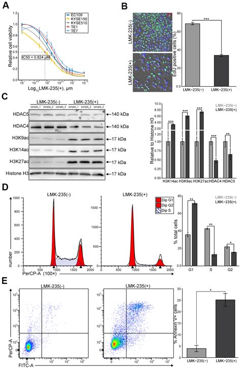 Pharmacological Targeting Of Tns With Histone Deacetylase Inhibitor As