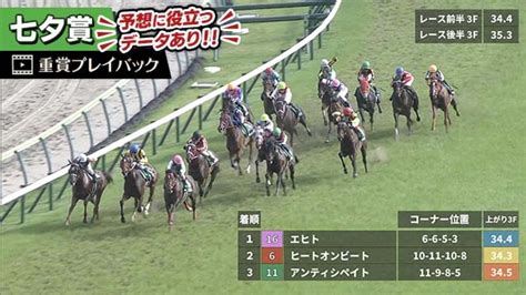 【七夕賞 2023】過去5年のレース映像・傾向 競馬予想動画 Netkeiba