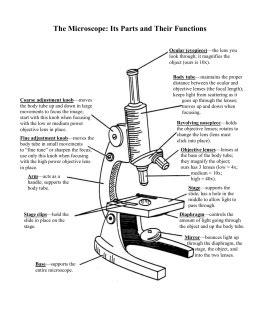 Microscope Quiz