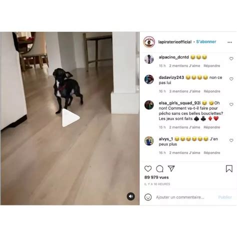 Booba amuse ses fans avec une vidéo hilarante de son chien Dooky MCE TV