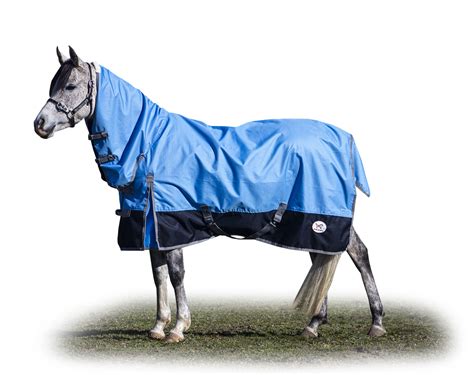 Rainsheet Combo - Horses at Home - Best Fitting Horse Rugs