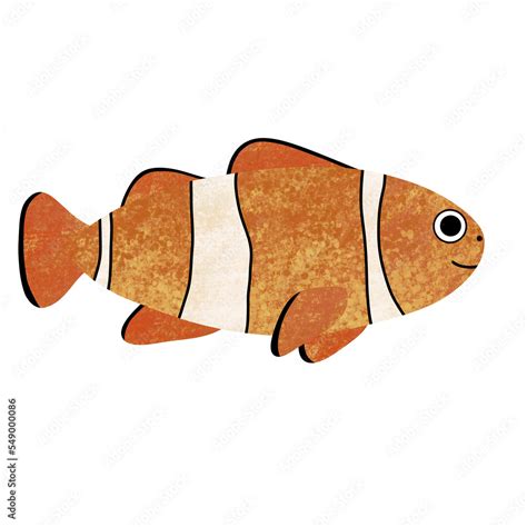 Cute nemo fish on white background. Hand drawn png illustration of reef ...