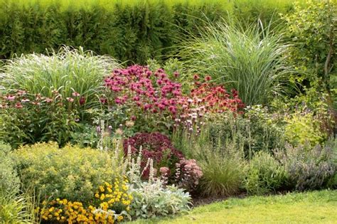 Pin By Klona Liely On Garden Colour Schemes Plants Colorful Garden