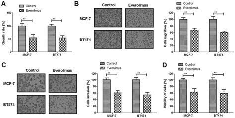 Everolimus Inhibits Breast Cancer Cell Growth Through PI3K AKT MTOR