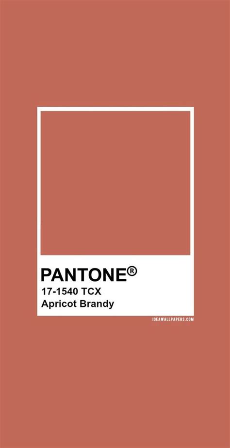 The Pantone Logo On An Orange Background