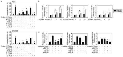 Apoptosis Triggered By The Combined Action Of Andrographolide And Download Scientific Diagram