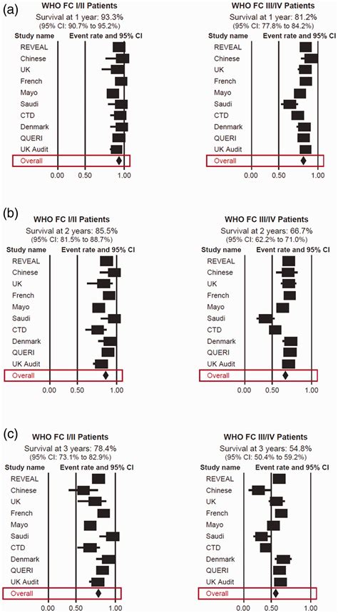 Long Term Outcomes In Pulmonary Arterial Hypertension By Functional Class A Meta Analysis Of