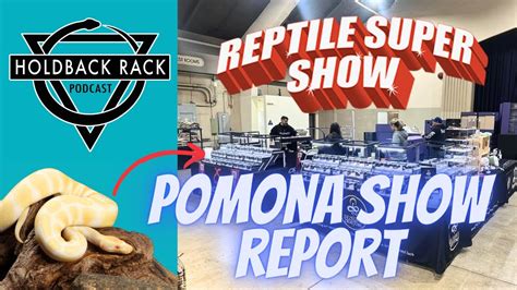 HRP 123 SALES And TRAFFIC At The Pomona Reptile Super Show How Is