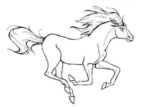 Horse Drawing Outlines at GetDrawings | Free download