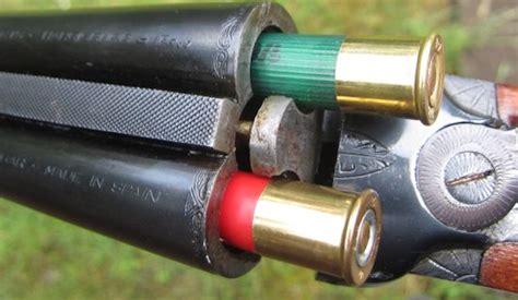 Survival Ammunition: .410 Bore Shotshell - RedTea News