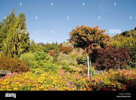 Queen Elizabeth Park Vancouver Bc Canada Stock Photo Alamy