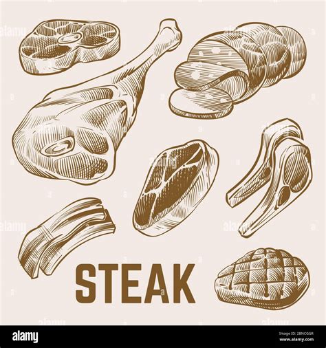 Sketch Meat Hand Drawn Steak Vector Set Meat Food Steak Sketch Beef