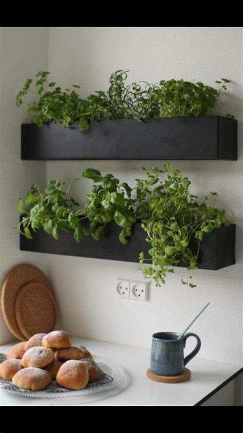 21 Kitchen Herb Garden Planter Box Ideas You Must Look Sharonsable