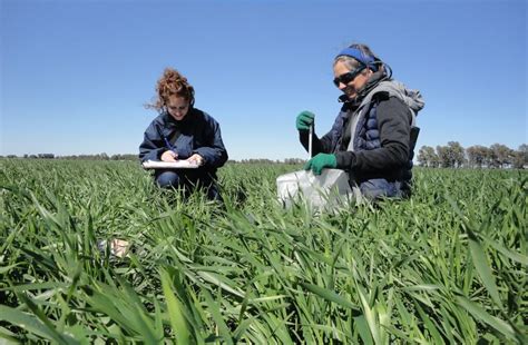 El desafío de una Agroecología sustentable Infosudoeste