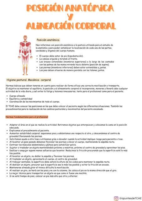 Posición Anatómica y Alineación Corporal Paula uDocz
