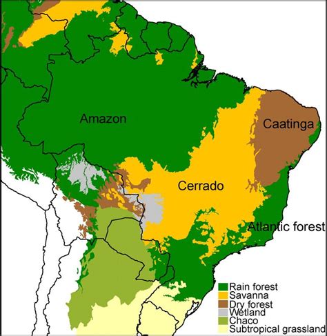 Recent assembly of the Cerrado, a neotropical plant diversity hotspot ...