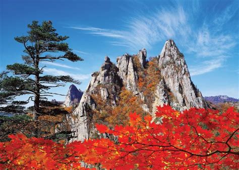 Autumn leaves of #Seoraksan National Park, #Sokcho, Korea Seoraksan ...