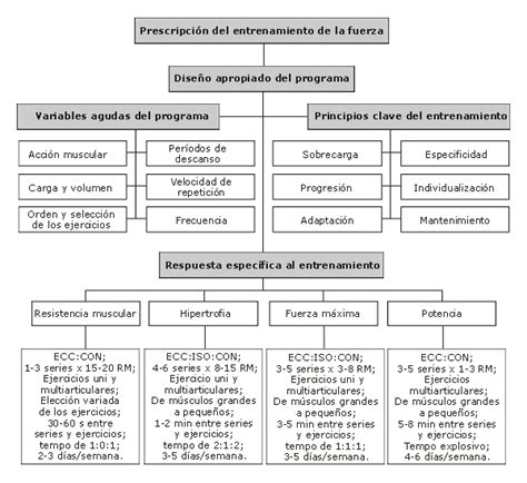 Dise O De Programas De Entrenamiento De La Fuerza Para Mejorar La