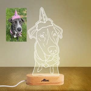 Custom D Photo Lamp Personalized Photo Night Light Line Art Photo