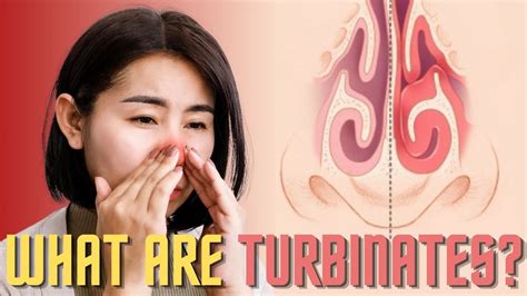 Everything You Need To Know About Enlarged Nasal Turbinates and How To Treat Nasal Congestion ...