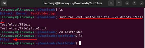 How To Unzip Tgz File Using The Terminal Linuxways
