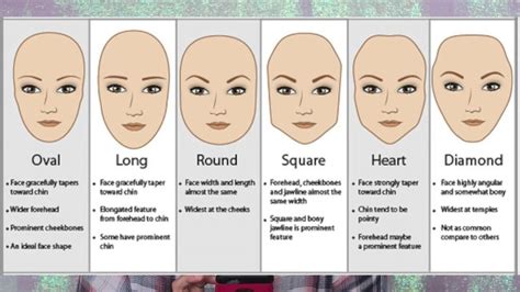 Different Types Of Forehead Shapes