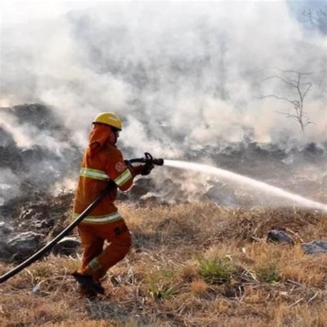 Más De Un Millón De Hectáreas Arrasadas En El País Por Incendios