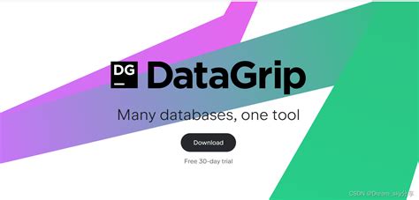 Datagrip Csdn