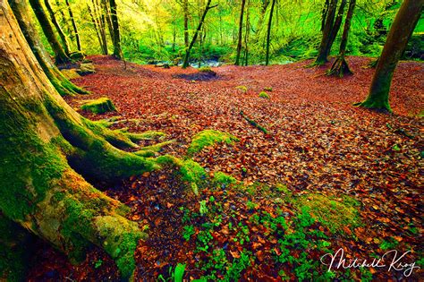 The Birks Of Aberfeldy In Scotland Robert Burns Country