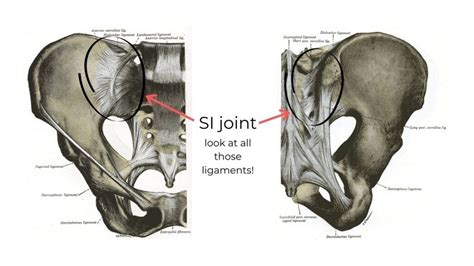 Sacroiliac Joint Pain Pregnancy