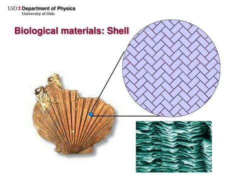 Ppt Mena Characterization Of Materials Powerpoint Presentation