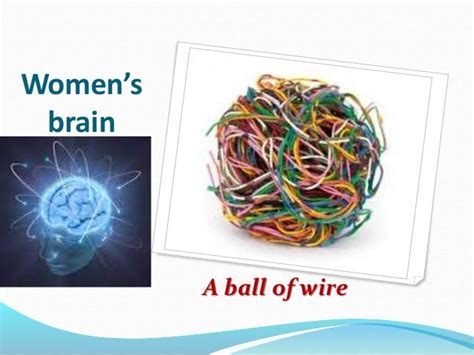 Some Differences Between Men S Brains And Women S Brains