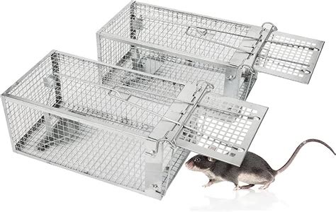 Amazon Pack Humane Rat Traps Live Mouse Rat Cage Traps Catch