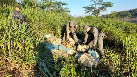 Gendarmes Incautan Más De Una Tonelada Y Media De Marihuana En Misiones Economis